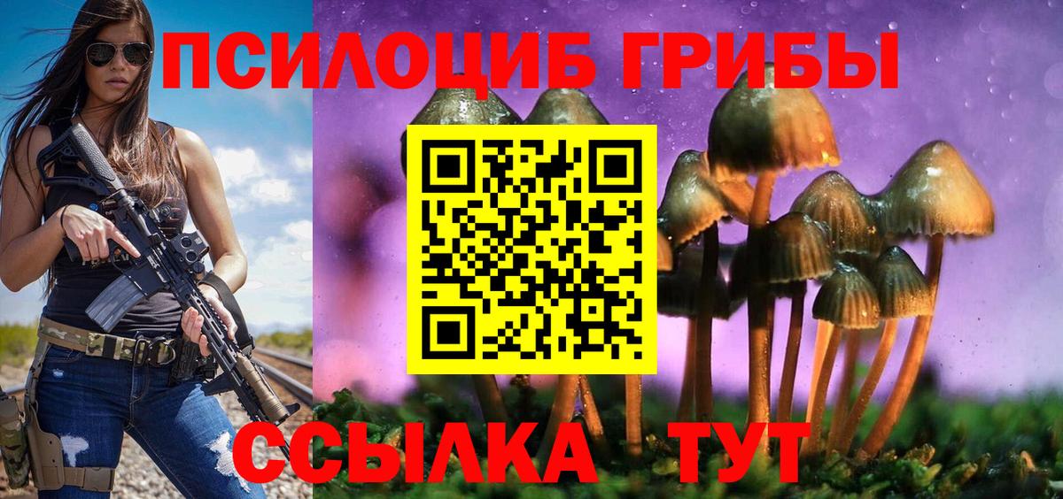 Галлюциногенные грибы Psilocybine cubensis  Псилоцибиновые грибы MAGIC MUSHROOMS  Коркино  Вход с VPN 